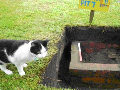 Figure 3 - All help gratefully accepted! (Image Copyright - Archaeology North Duffield)