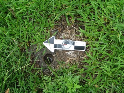 Plate 8: Photograph of CMS-1-B-6. Source: Lambert. A. F